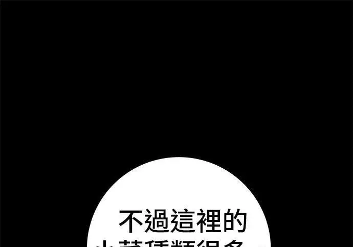 《米虫的一日三餐》第267话 水果沙拉图169