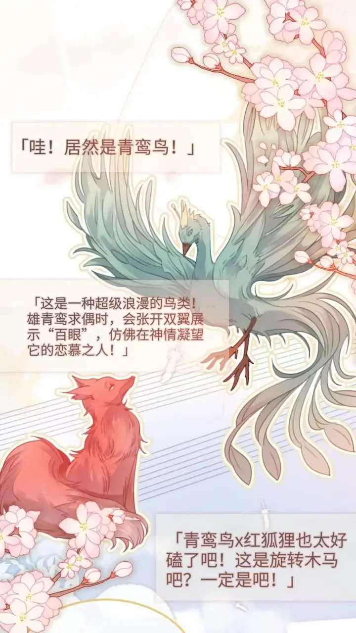 《明撩！暗诱！和顶流影帝恋综撒糖》第123话 青鸾鸟x红狐狸图4