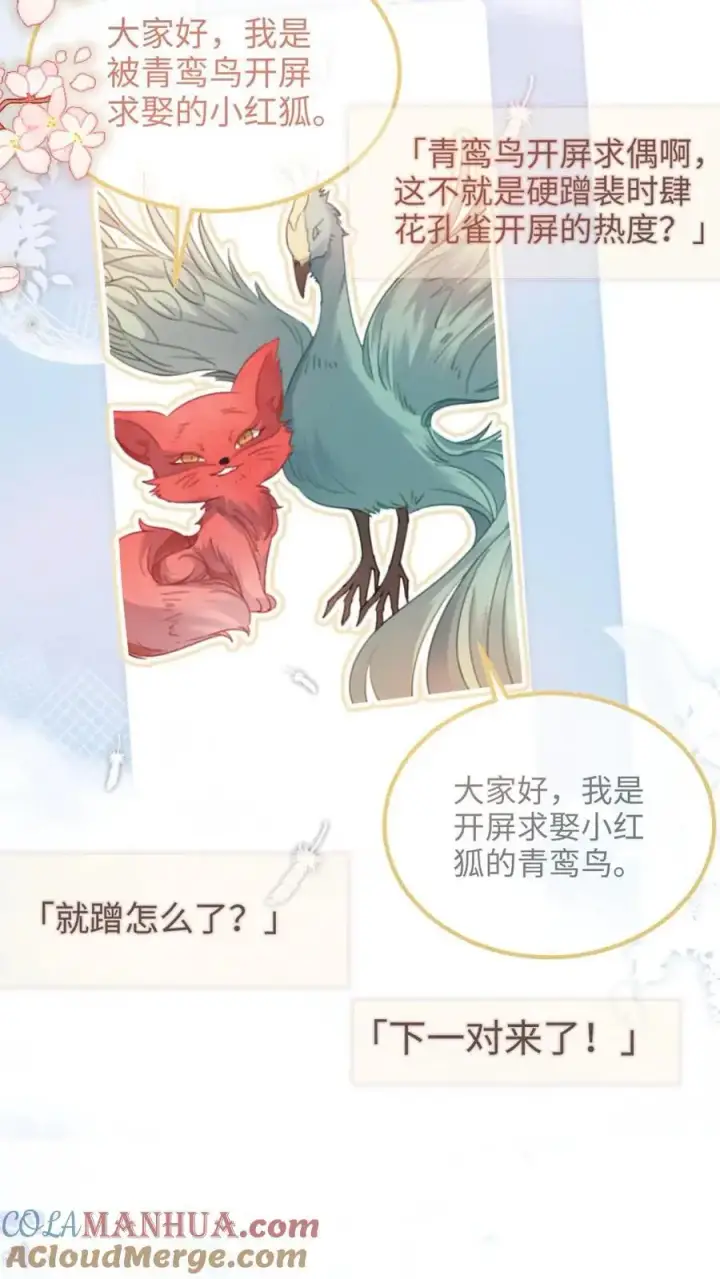 《明撩！暗诱！和顶流影帝恋综撒糖》第123话 青鸾鸟x红狐狸图5