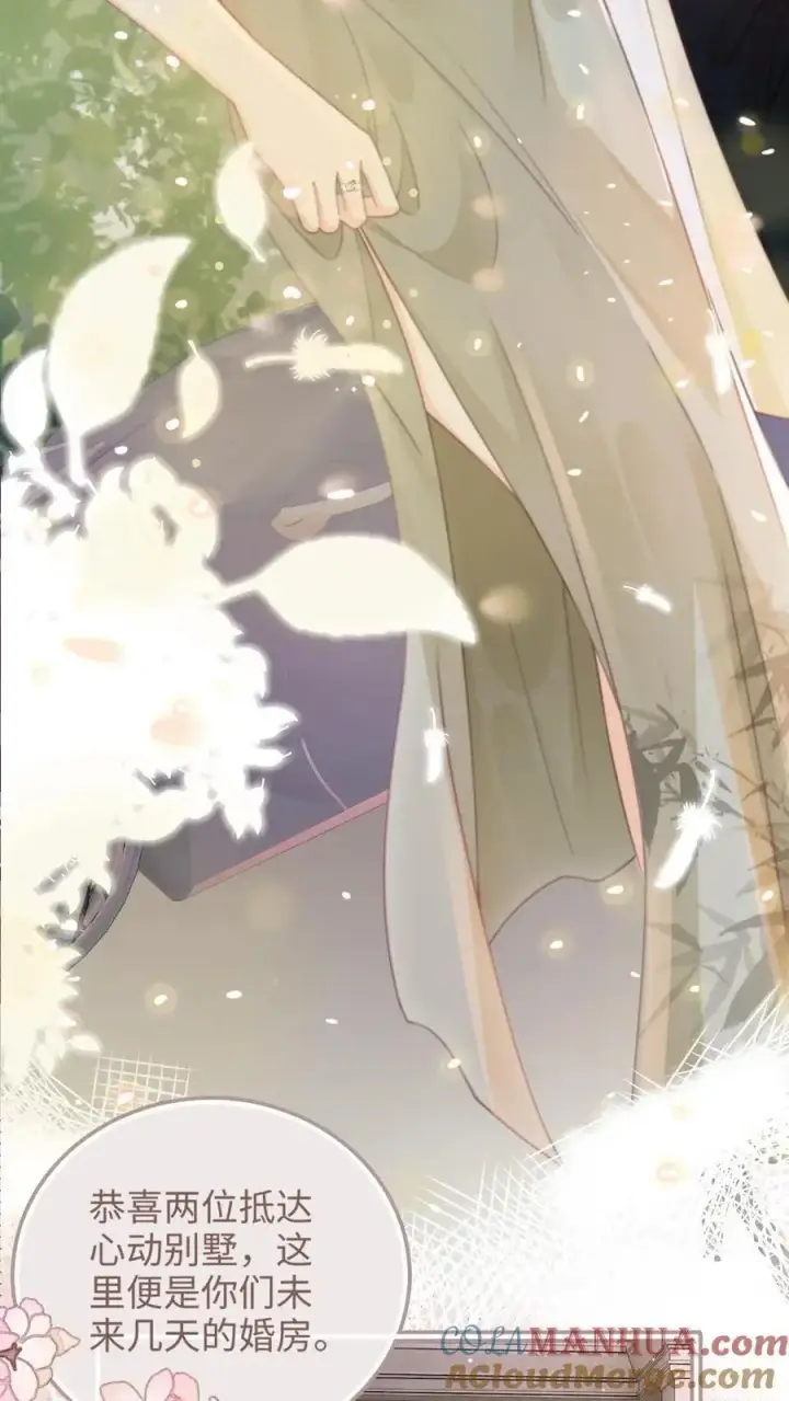 《明撩！暗诱！和顶流影帝恋综撒糖》第139话 入洞房图17