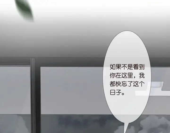 《名门挚爱》第255 特殊的日子图21
