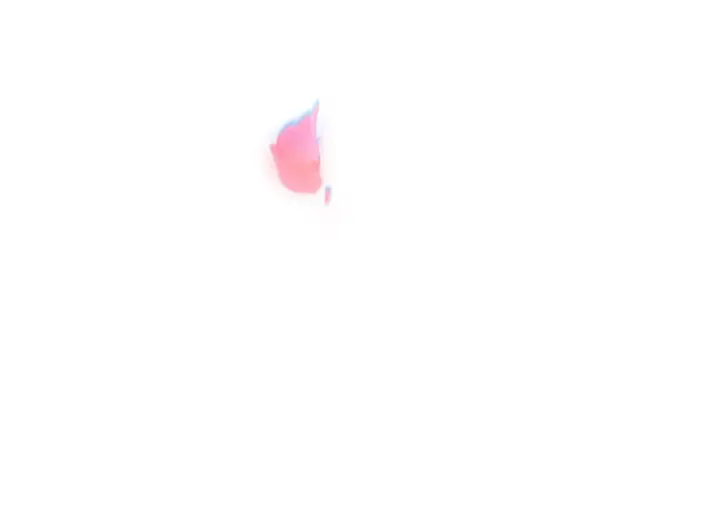 《名门挚爱》第262 逞英雄的后果图93