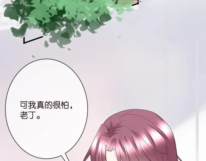 《名门挚爱》第382 连城的身世图10