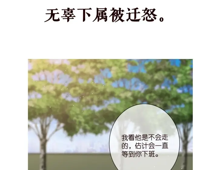 《名门挚爱》第431 少夫人，上车吧图112