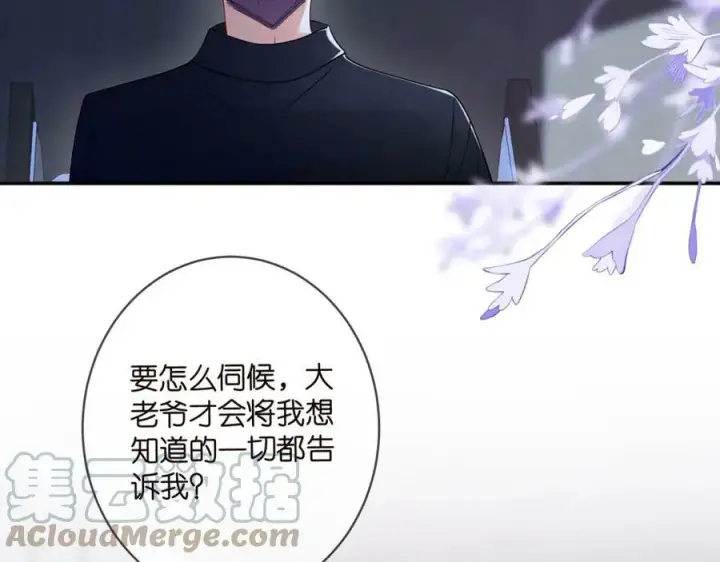 《名门挚爱》第440 美妙的夜晚图13