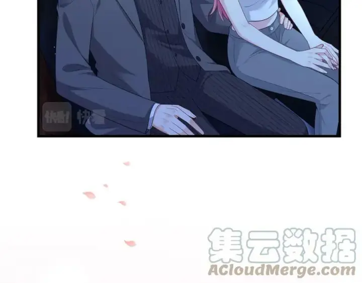 《名门挚爱》第444 菜鸡互啄图13