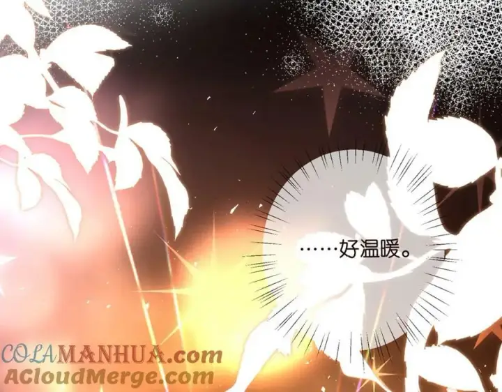 《名门挚爱》第462 愿意相信我吗图17