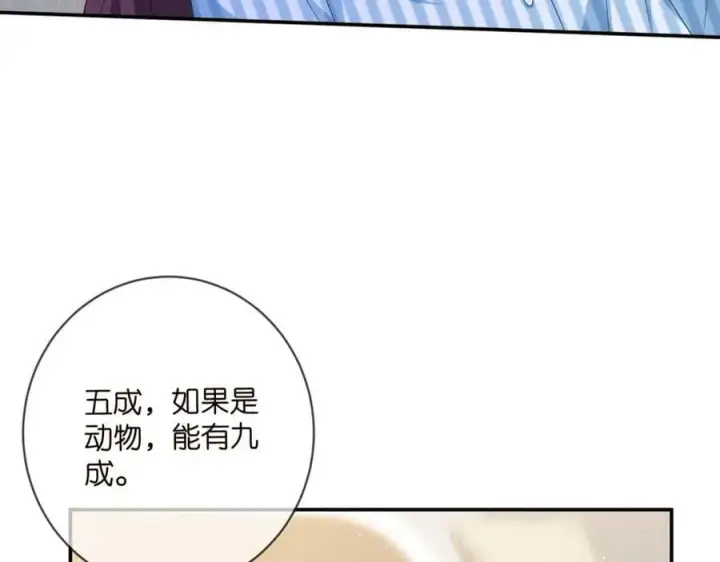 《名门挚爱》第477 飞鹰的秘密图42