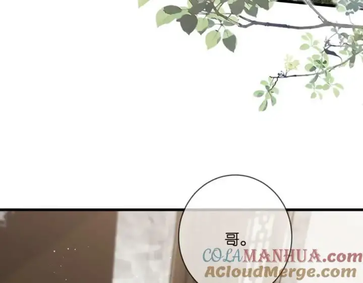 《名门挚爱》第480 分别图57
