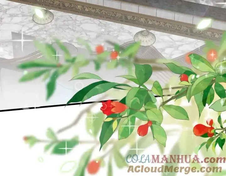 《名门挚爱》第490 撮合图25