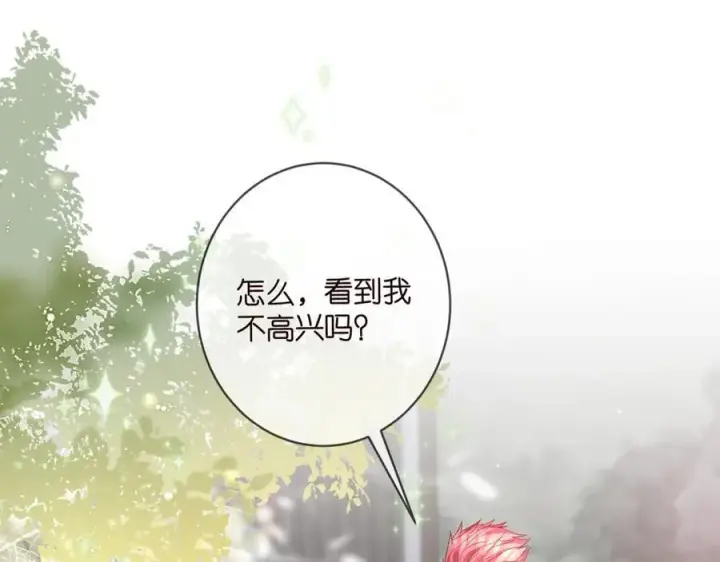 《名门挚爱》第490 撮合图4