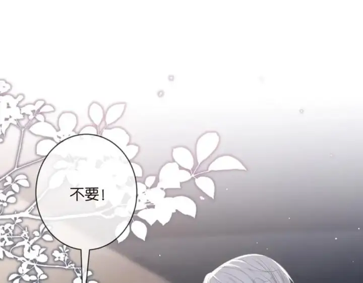 《名门挚爱》第492 白桦的忠心图4