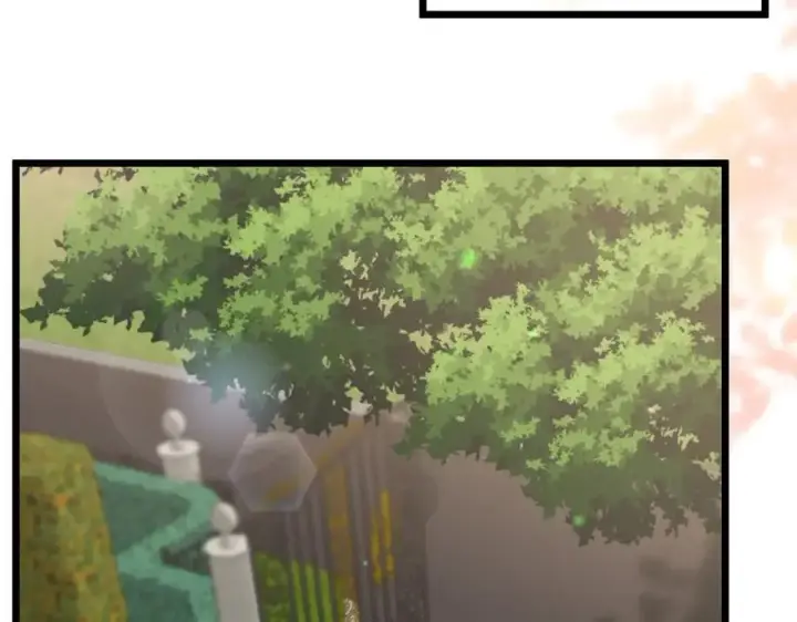 《名门挚爱》第492 白桦的忠心图72