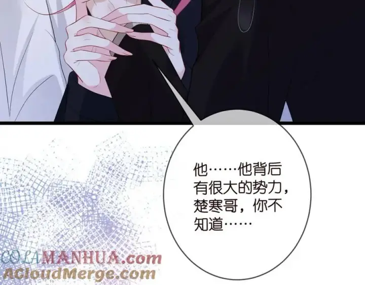 《名门挚爱》第492 白桦的忠心图9