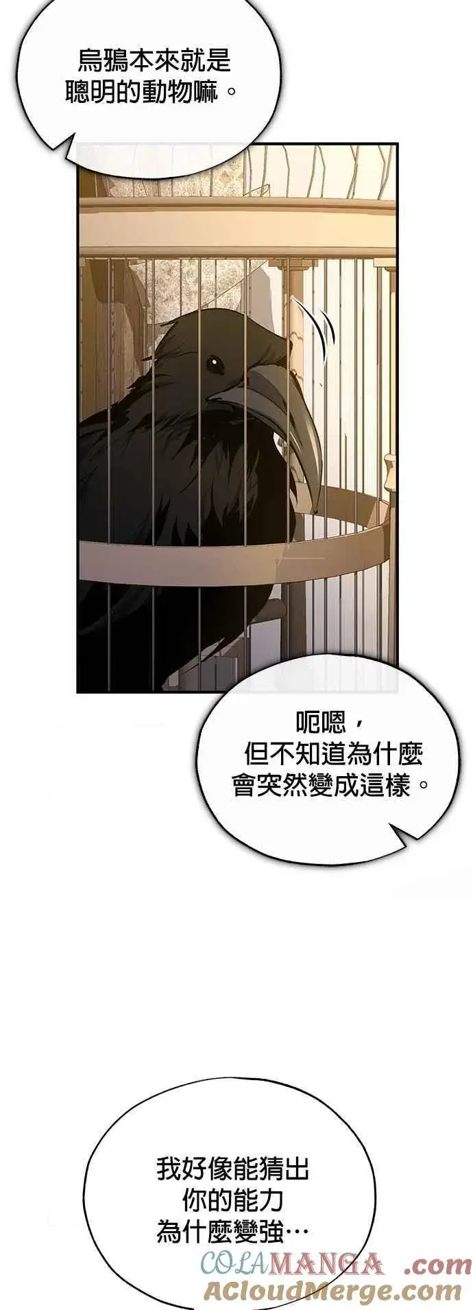 《魔法学院的伪装教师》第95话 8位阶图37