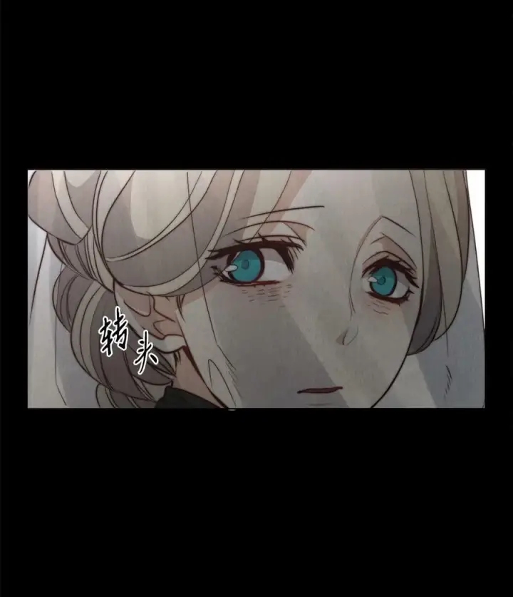 漫画《魔鬼》1 被诅咒的公爵小姐第59张图