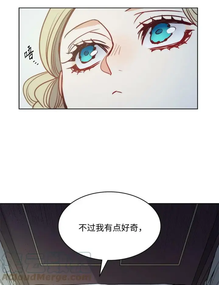 漫画《魔鬼》60 伊德里斯的秘密第22张图