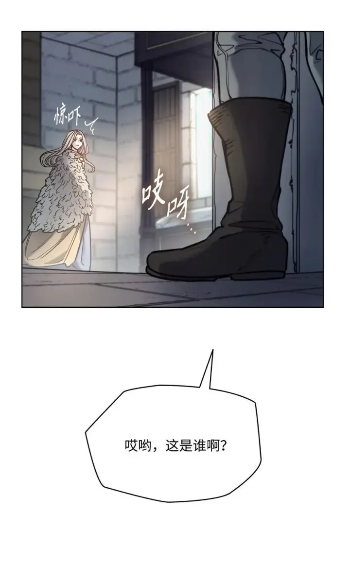 漫画《魔鬼》125 新公爵夫妇的归来第75张图