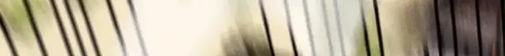 《万古最强宗》276 铁骨铮铮派集体摆烂图174