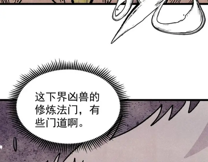 《万古最强宗》456 底牌过多图104