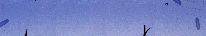 《万古最强宗》458 狗剩之争图186