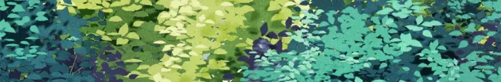 《万古最强宗》464 三分凉薄图128