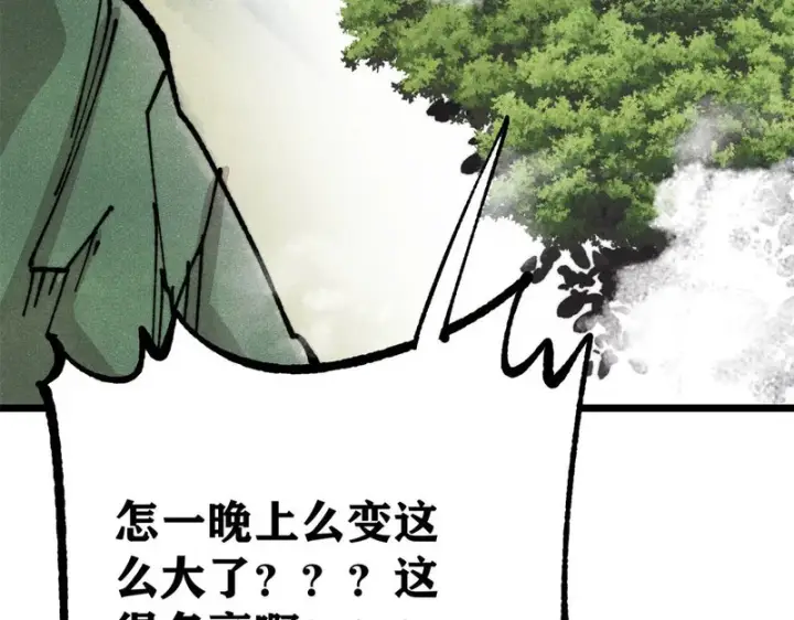 《万古最强宗》480 明知山有虎图29