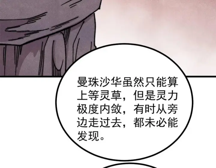 《万古最强宗》493 太平镇图86