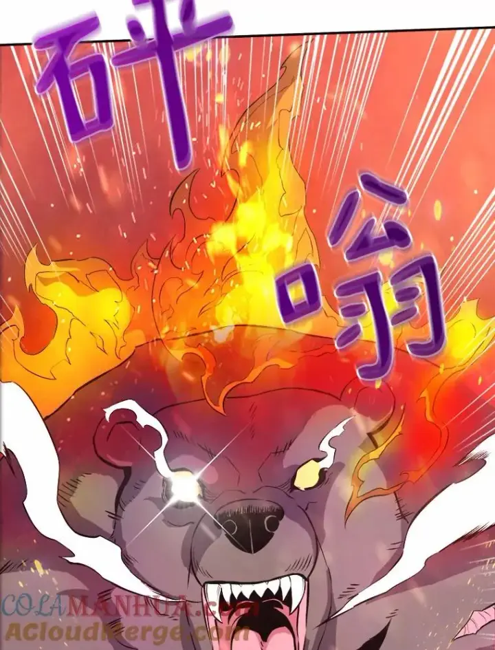 《魔弹射手》16.火熊图89