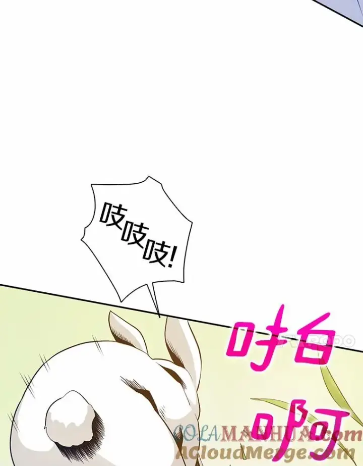 《魔弹射手》3.火枪手图81