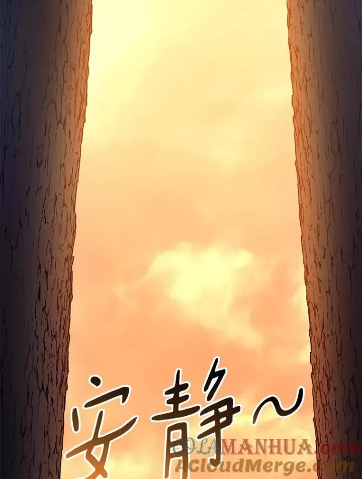 《魔弹射手》67.最佳战场图93
