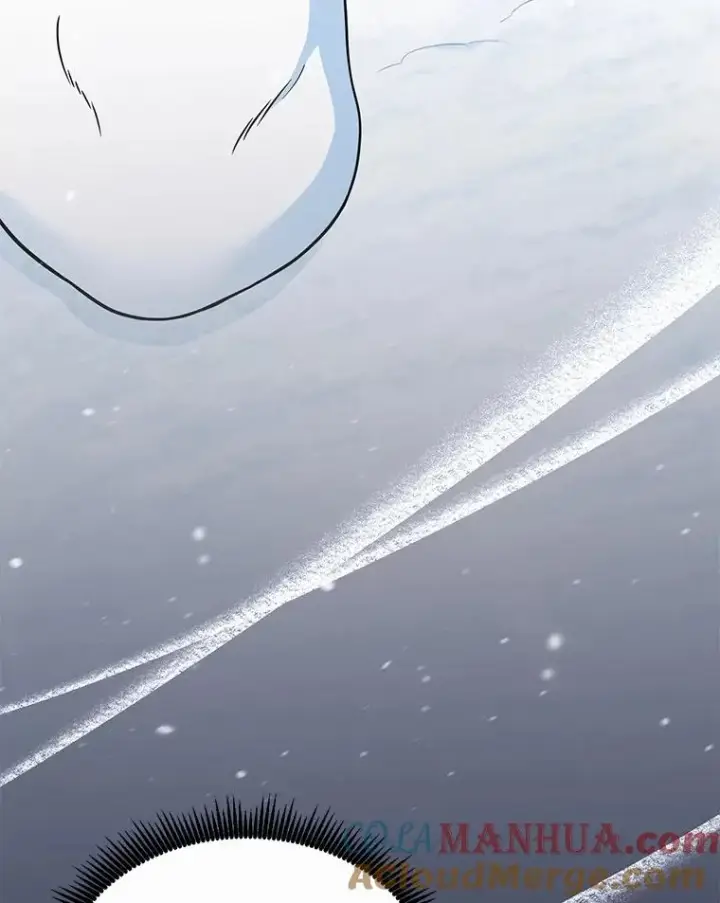 《魔弹射手》96.“雪崩”图57