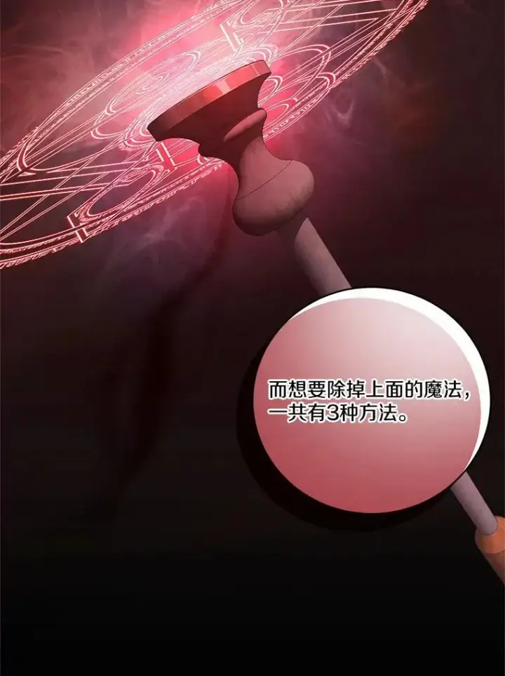 《魔王的人偶管家》33.做我的辅佐官图66