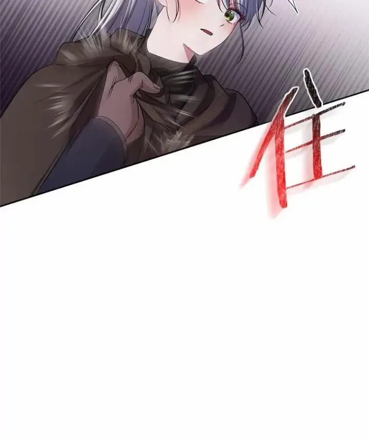 《魔王的人偶管家》38.你在找伴侣？图29