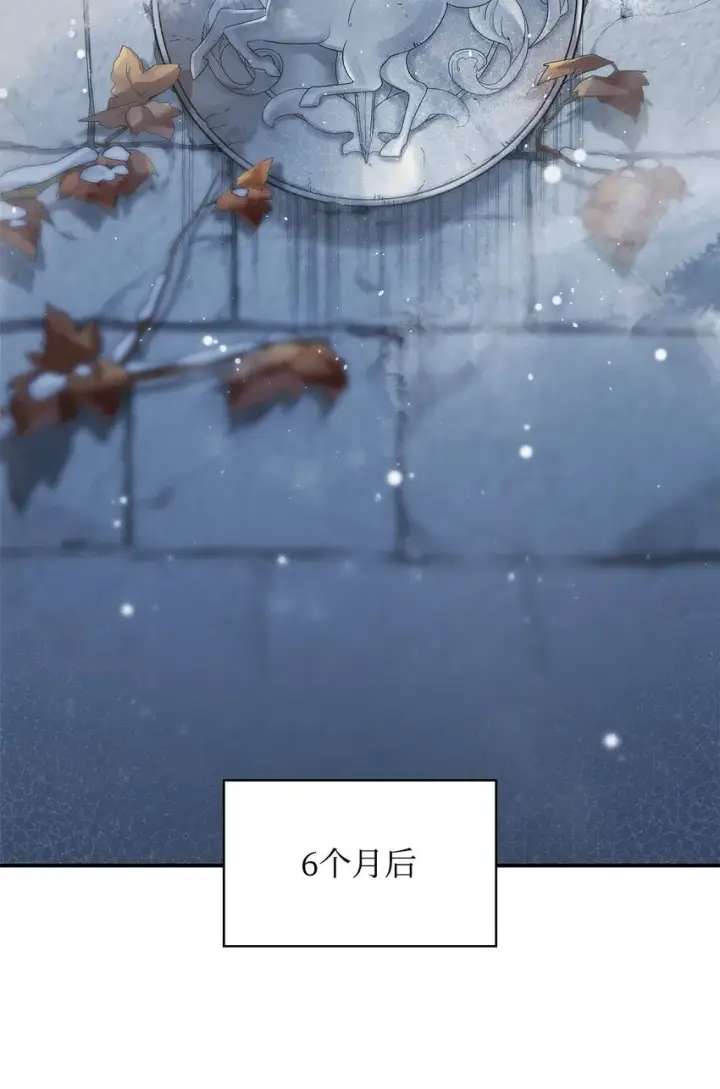 《无限魔法师》10 王宫钢琴师图43