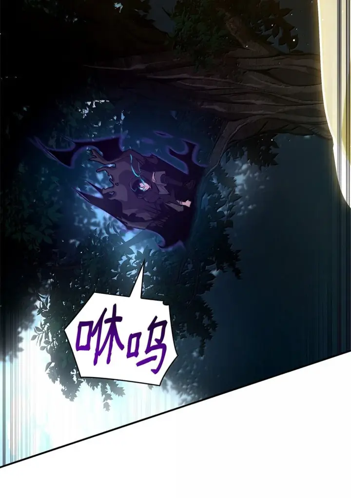 《无限魔法师》74 阴影之力图68