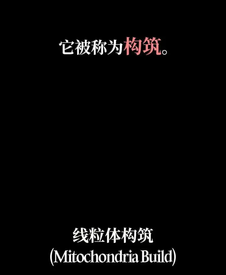 《无限魔法师》76 线粒体构筑图30