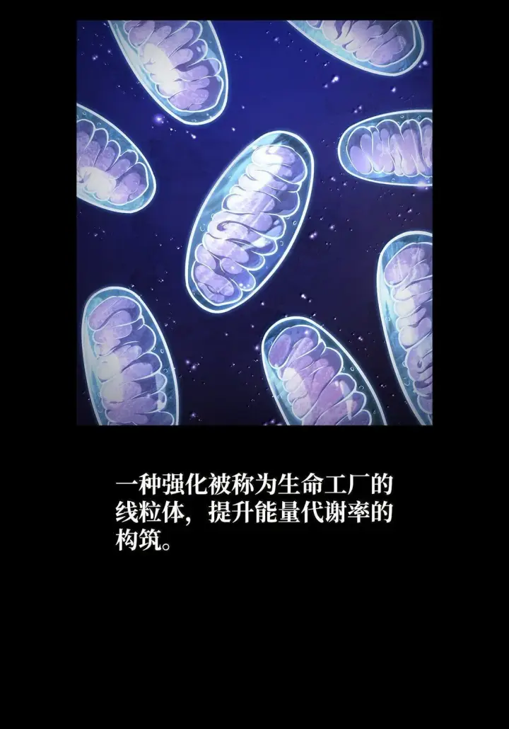 《无限魔法师》76 线粒体构筑图31