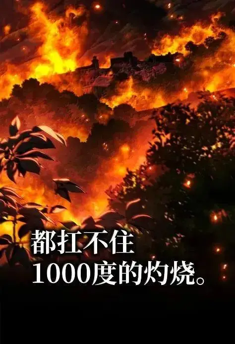 《无限魔法师》121 火焰对决图78