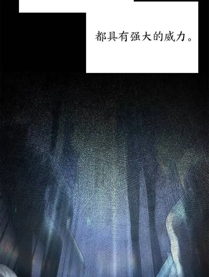 《没药根本撑不住的魔法师》26.万变之光图149