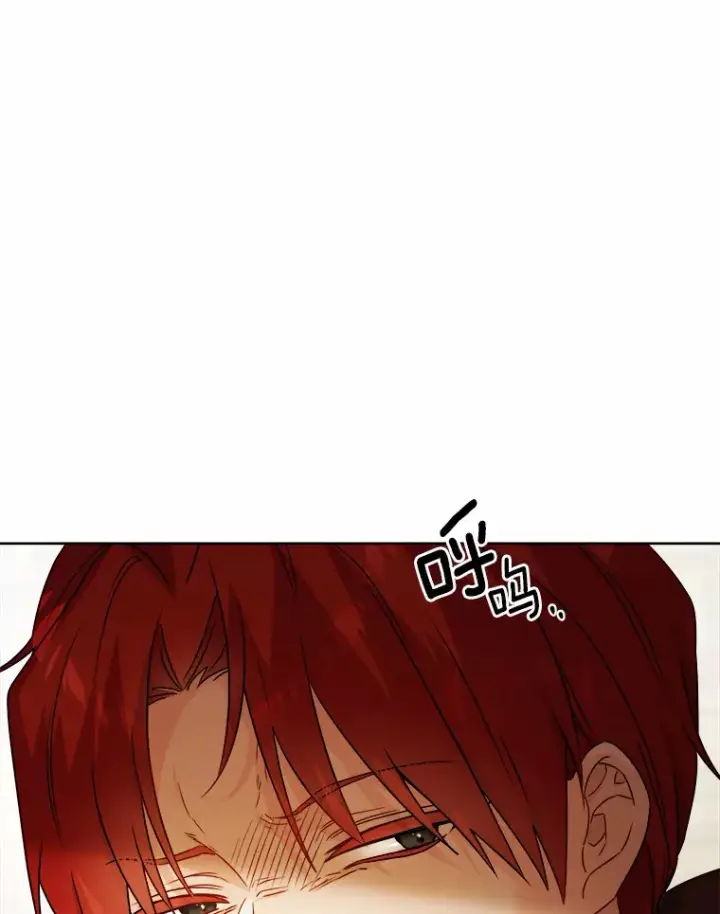 《男主要我对他的黑历史负责》24.九尾图71