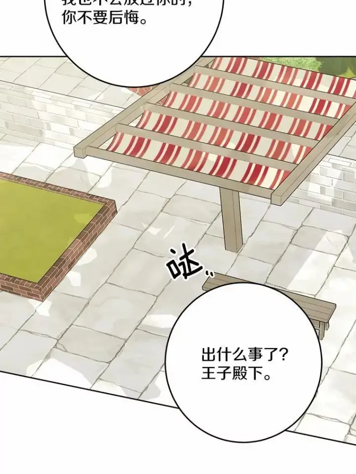 《男主要我对他的黑历史负责》34.未来的皇帝图11
