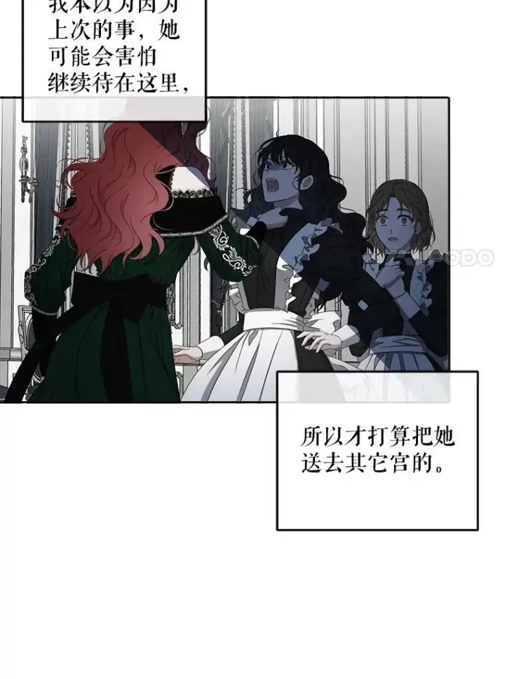 《偶然开启女尊游戏》20.无法阻止的偶遇图44