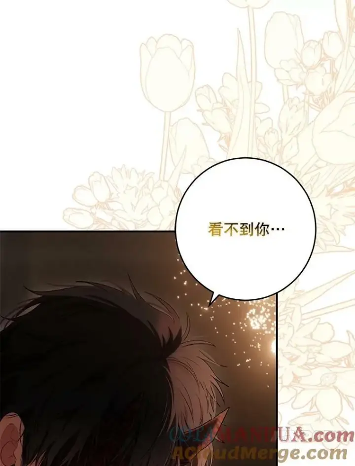 《偶然开启女尊游戏》81.我的心意图65