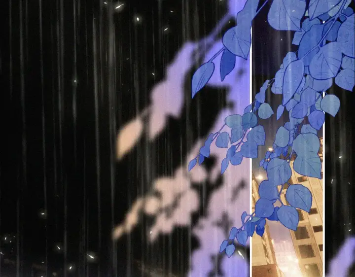 《偏偏宠爱》第11话 目光图79
