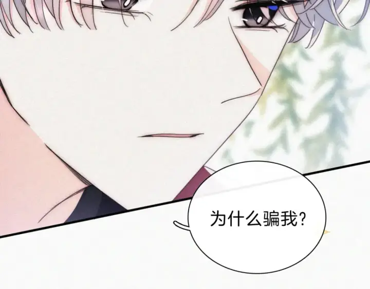 《偏偏宠爱》第35话 为什么骗我？图69