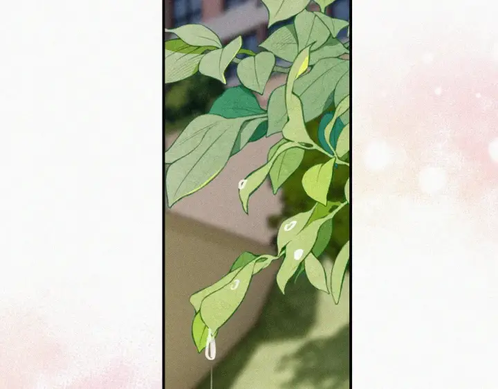 《偏偏宠爱》第96话 面包图61