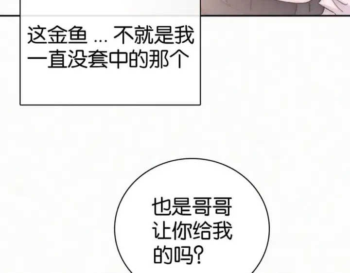 《偏偏宠爱》第128话 一直都在图56