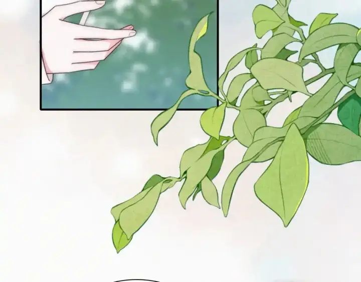 《偏偏宠爱》第44话 许愿图66