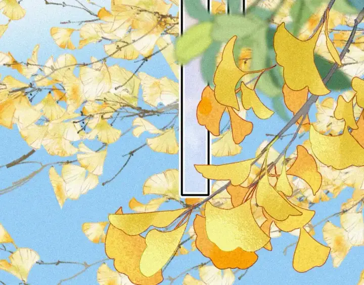 《偏偏宠爱》第54话 别怕图50